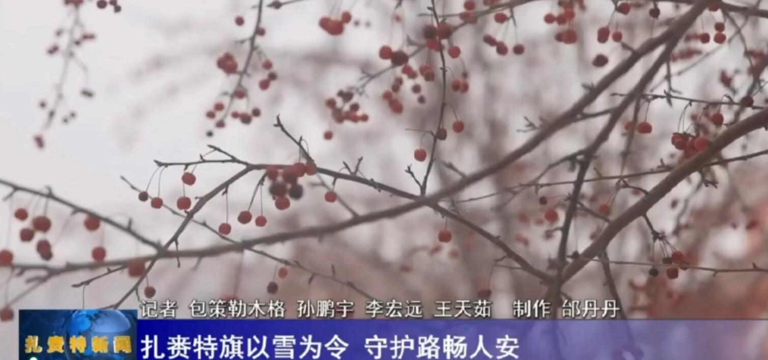  视点视察 九游会J9